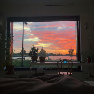 张子枫真人毛片
